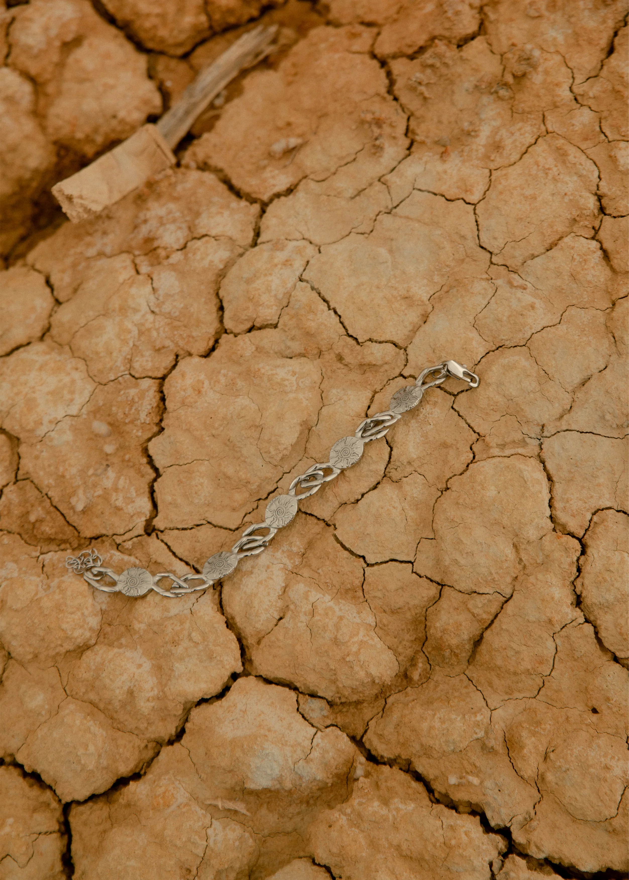 CATARTIDA PLATA - Image 5